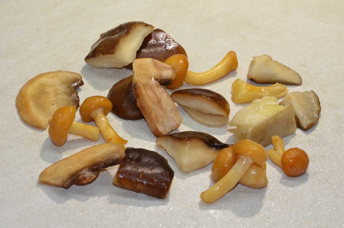 GRANMISTO FUNGHI CON PORCINI A. FOOD 1KG