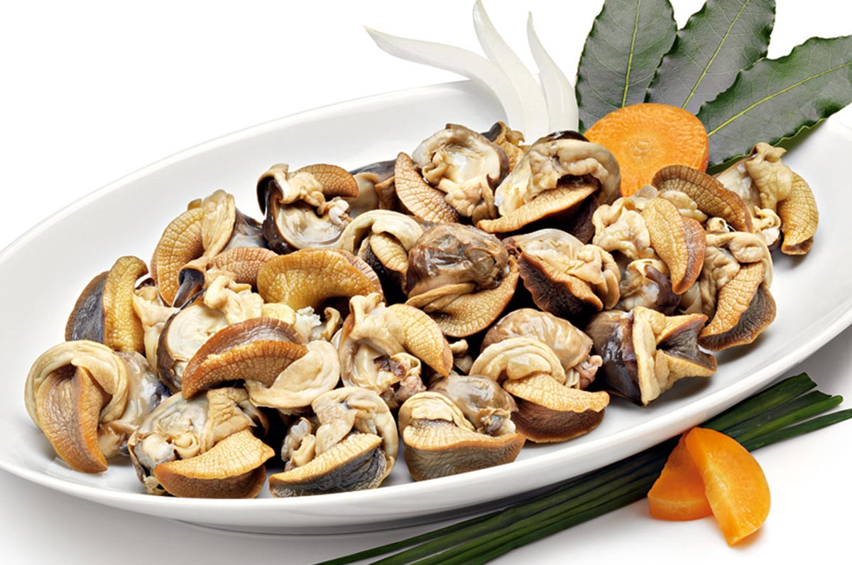 LUMACHE POLPA 1KG