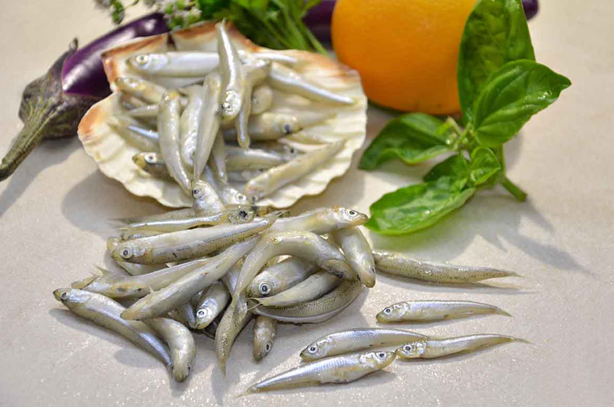 LATTERINO 1KG