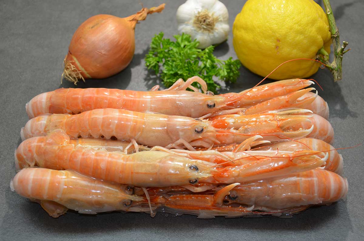 SCAMPI SCOZIA  8/12 750GR