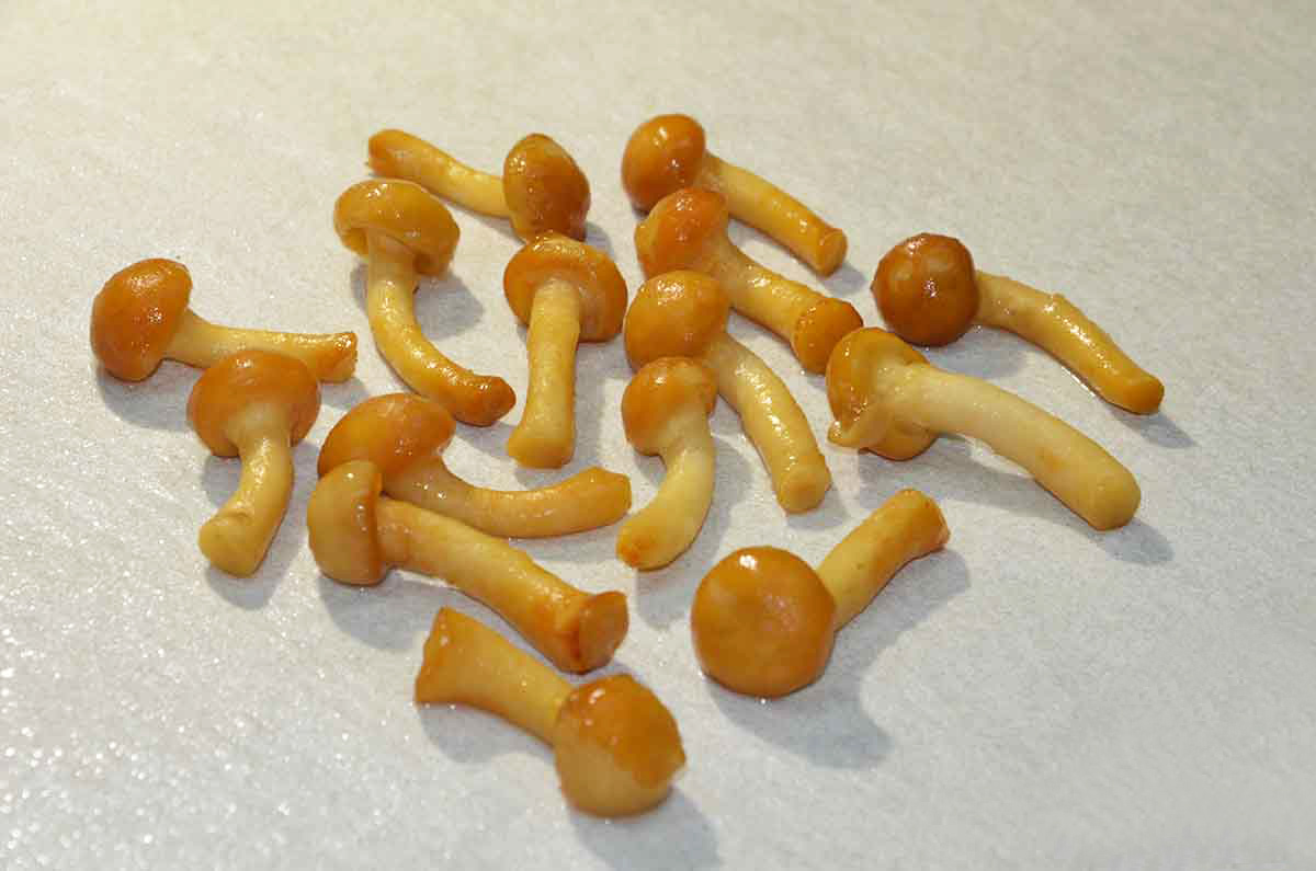 FUNGHI FAMIGLIOLA GIALLA A. FOOD 300GR
