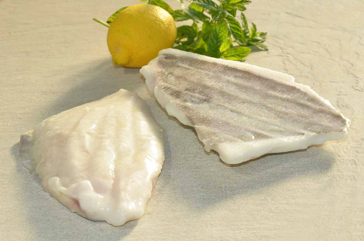 FILETTO PESCE S.PIETRO C/P 200/300 800GR